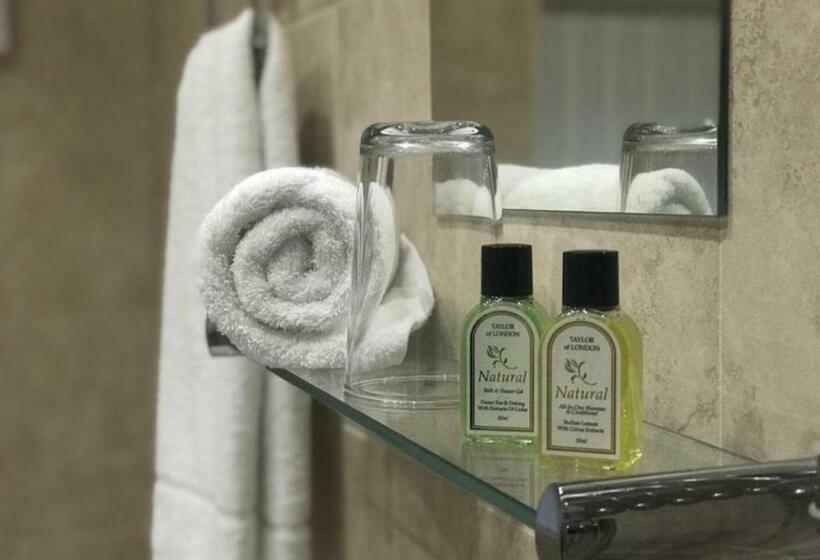 بنسيون Anson Studios Walsall M6, J10