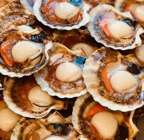 Majatalo Taransay House, Small