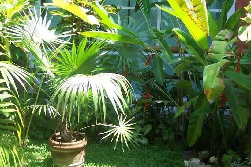 هتل Elements Of The Island