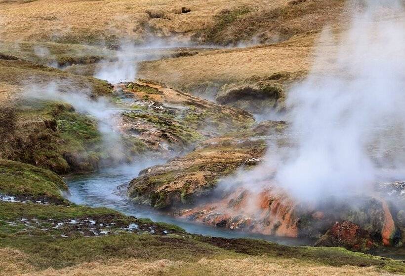 هتل The Greenhouse