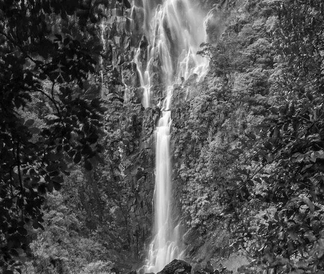 Hotelli Villa Walton