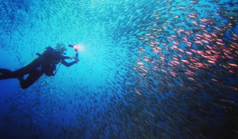 Love's Beach & Dive Resort