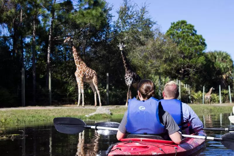 Avid Hotels   Melbourne   Viera, An Ihg