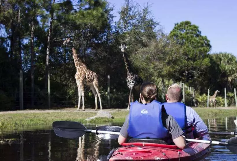 Avid Hotels   Melbourne   Viera, An Ihg