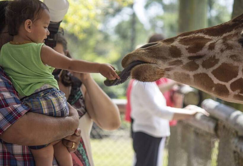 Avid Hotels Melbourne Viera, An Ihg