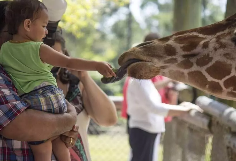 Avid Hotels   Melbourne   Viera, An Ihg