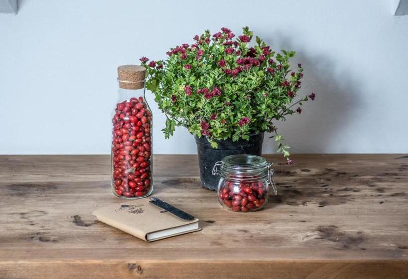 ホテル Casa Kraus