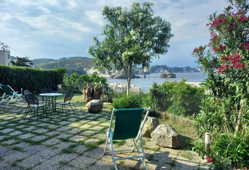 민박 Agenzia Isotur Villa Olimpia