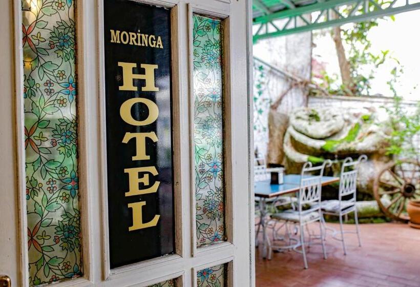 فندق Green Moringa Termal