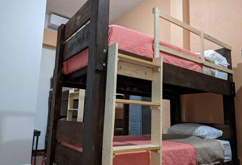 My Family In Monterrey   Hostel