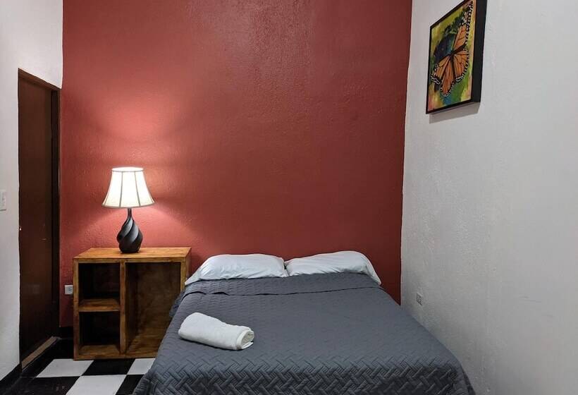 My Family In Monterrey   Hostel