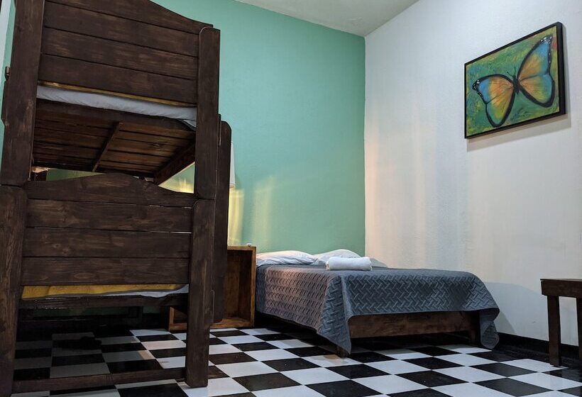 My Family In Monterrey   Hostel