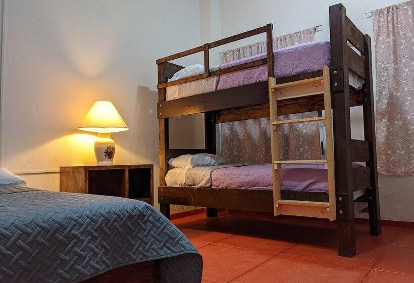 My Family In Monterrey   Hostel