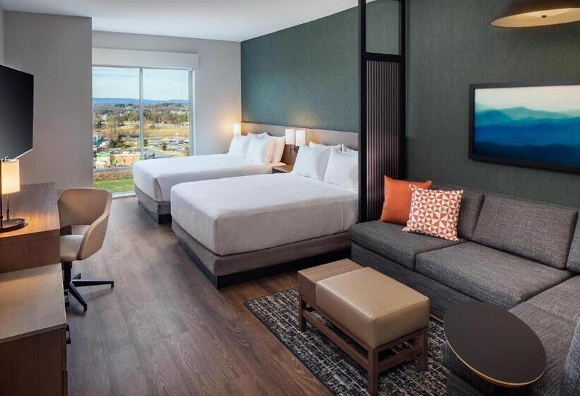 Отель Hyatt Place Harrisonburg