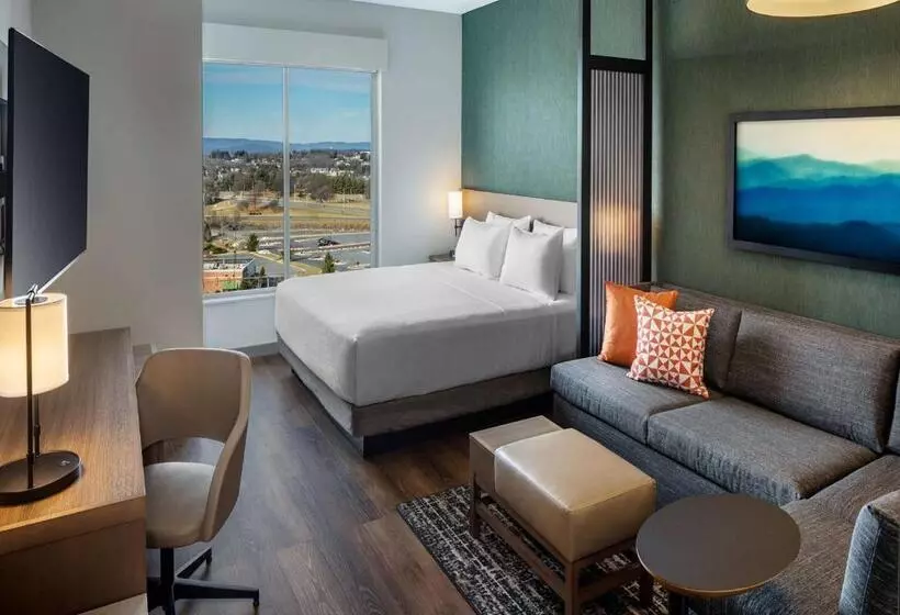 ホテル Hyatt Place Harrisonburg