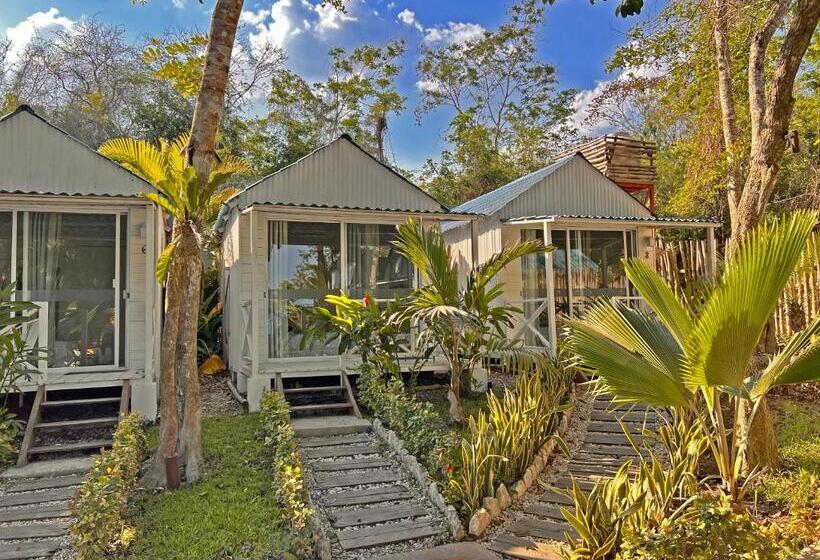 Hotel Zensus Eco Boutique