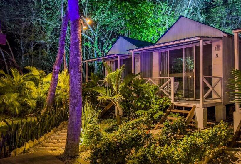 Hotel Zensus Eco Boutique