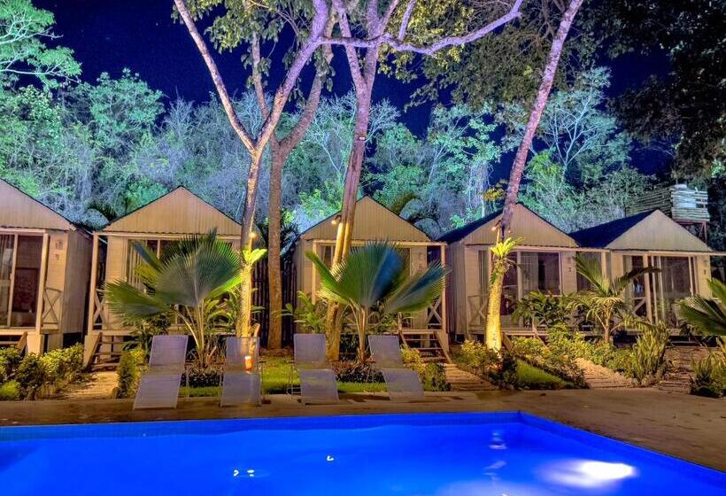 Hotel Zensus Eco Boutique