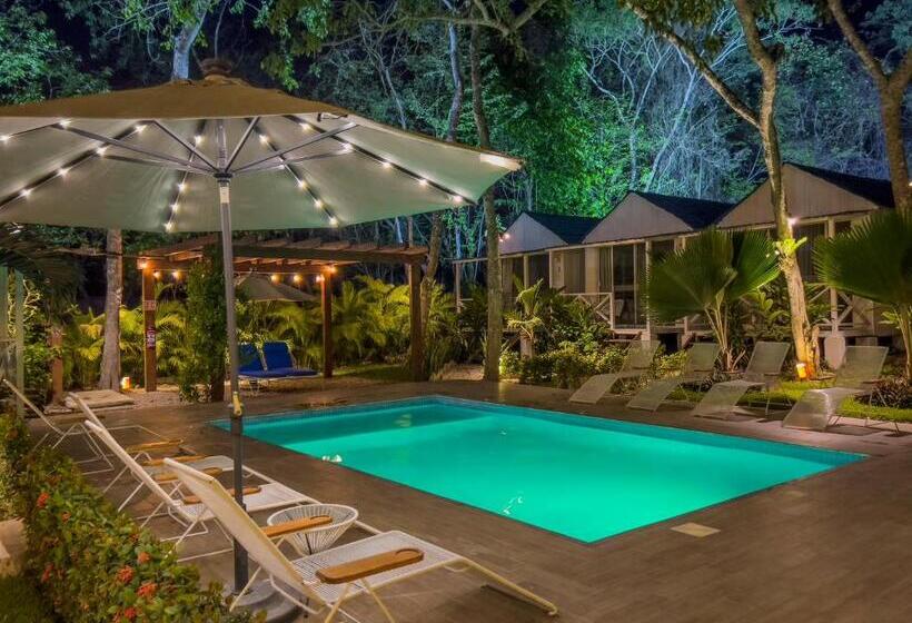 Hotel Zensus Eco Boutique