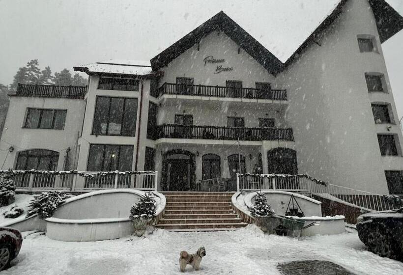 Hôtel Pensiunea Baroc