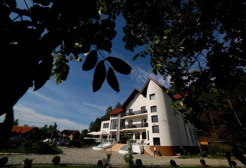 Hôtel Pensiunea Baroc