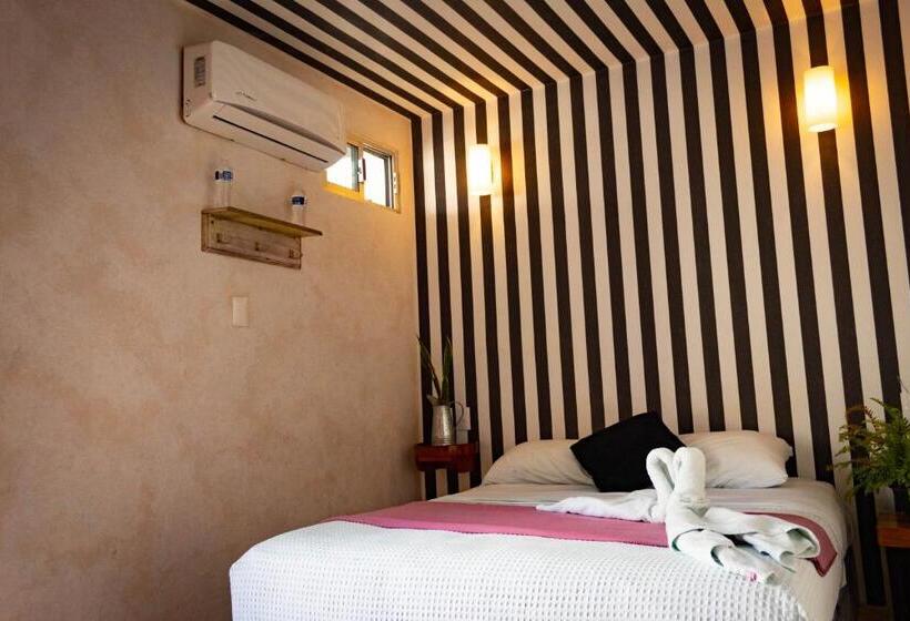 فندق Seyba Bakalar