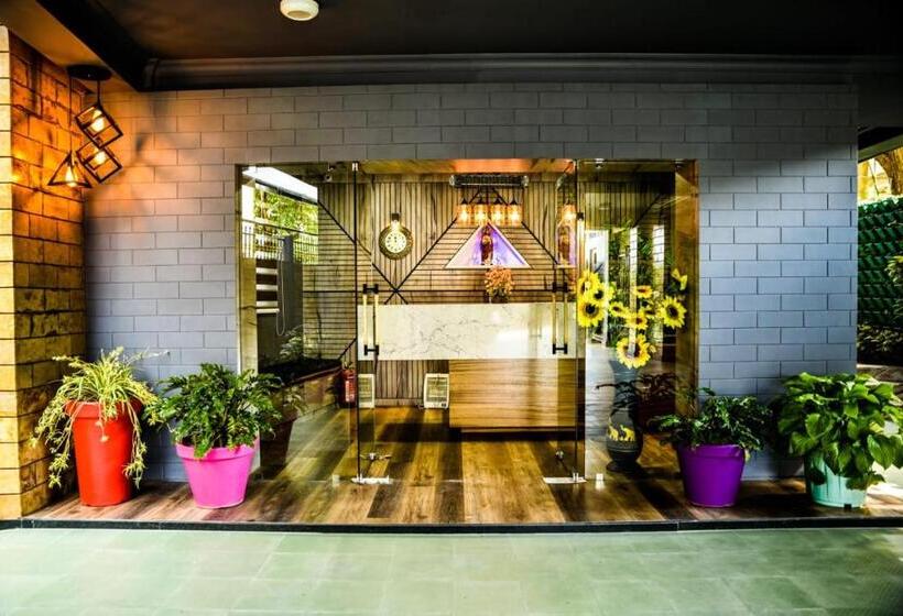 پانسیون Banalari Pine Inn