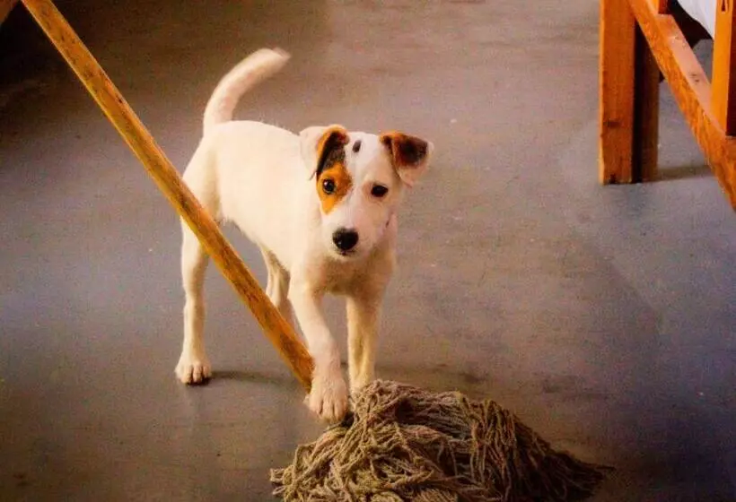 Majatalo Ebonymoon Guest House