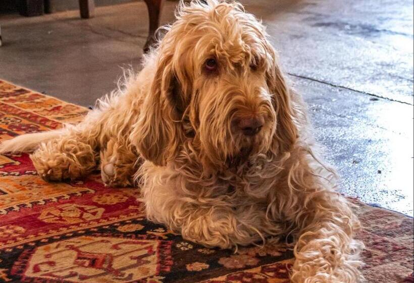 بنسيون Ebonymoon Guest House