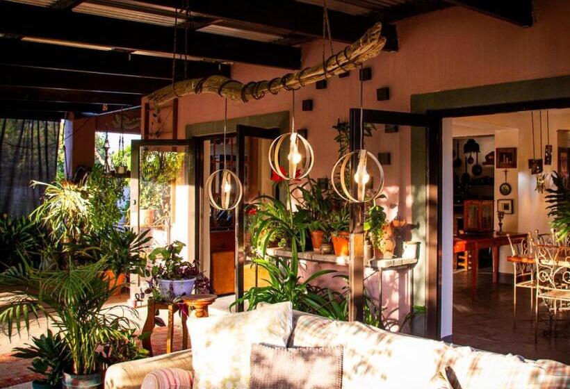 بنسيون Ebonymoon Guest House