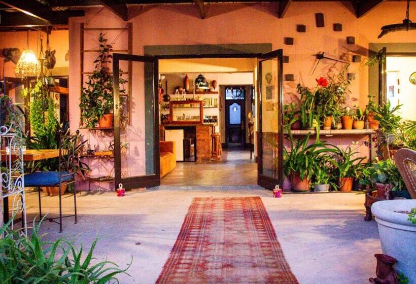 بنسيون Ebonymoon Guest House