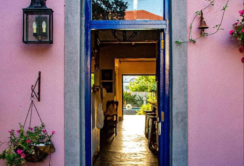 بنسيون Ebonymoon Guest House