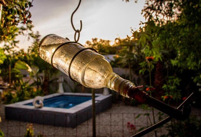 بنسيون Ebonymoon Guest House