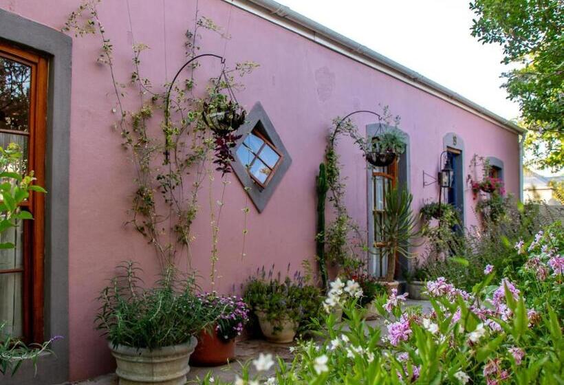 بنسيون Ebonymoon Guest House