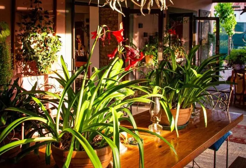 Majatalo Ebonymoon Guest House