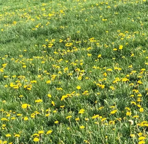 호텔 Chambres Tourismes