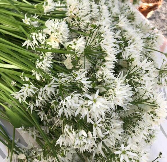 هتل Chambres Tourismes