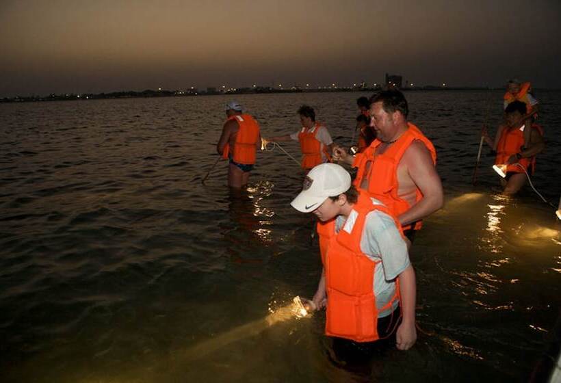 Отель Flamingo Beach