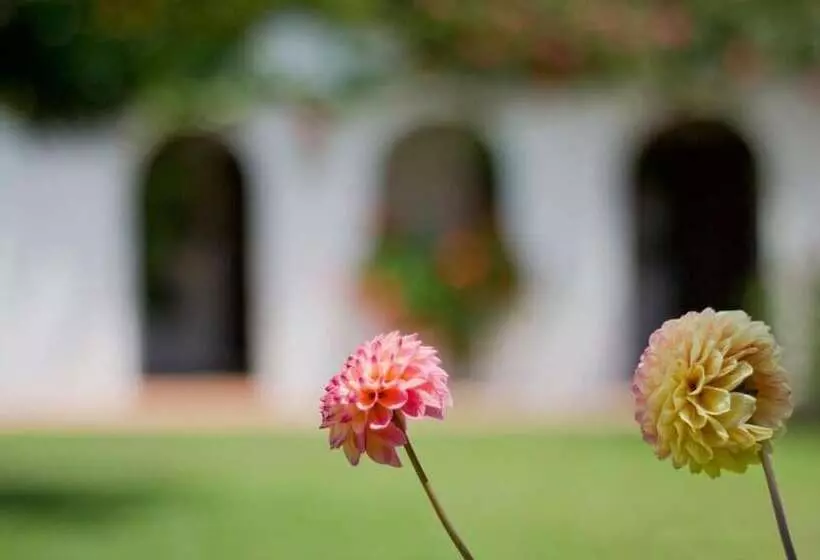 酒店 Hostal El Capi