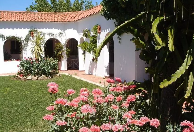 酒店 Hostal El Capi