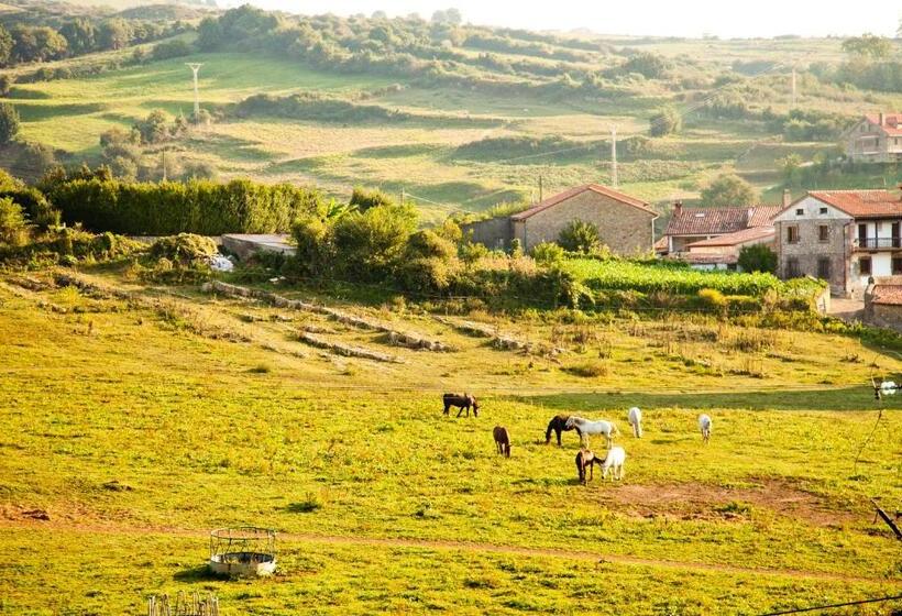 فندق La Casa Del Organista