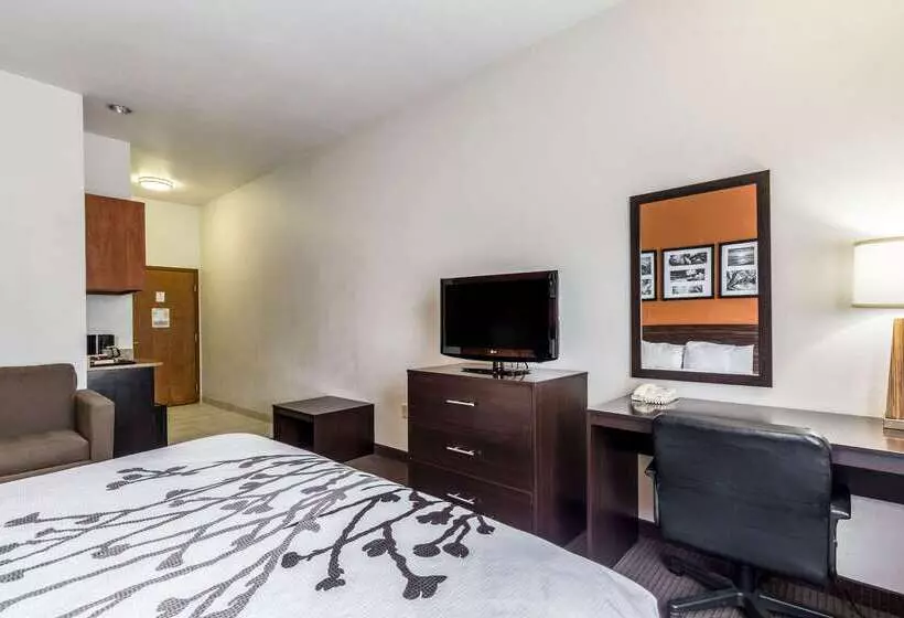 ホテル Sleep Inn & Suites Stafford Sugarland