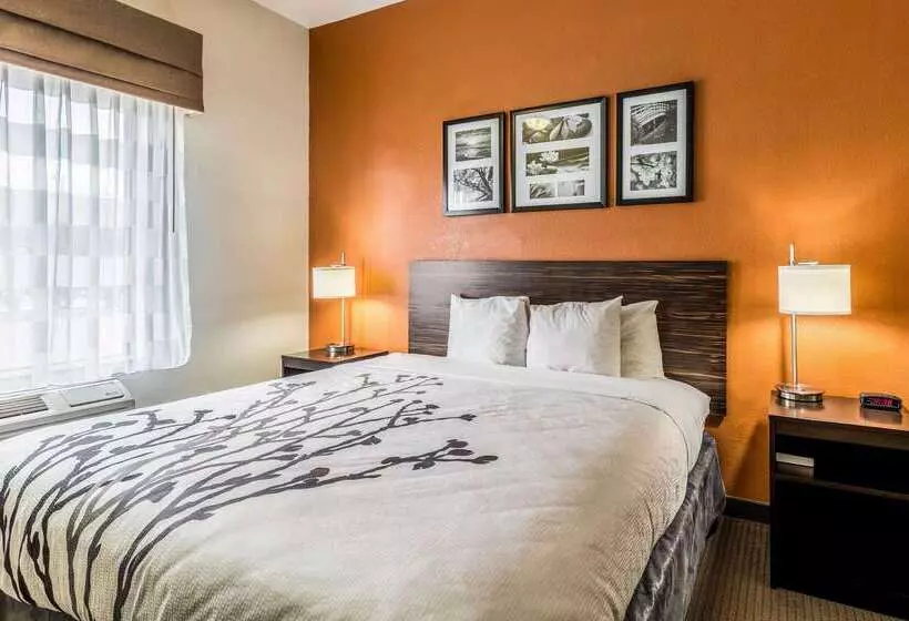 ホテル Sleep Inn & Suites Stafford Sugarland