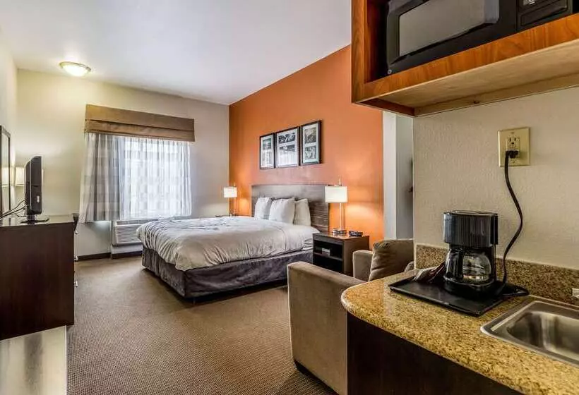 ホテル Sleep Inn & Suites Stafford Sugarland