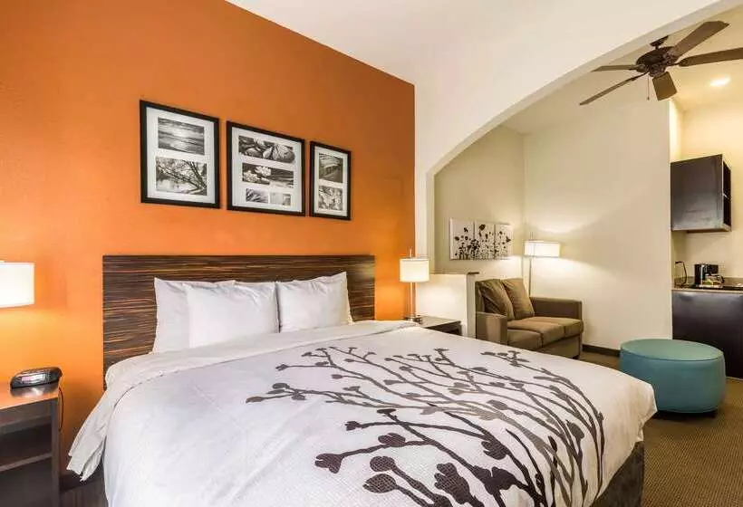 ホテル Sleep Inn & Suites Stafford Sugarland