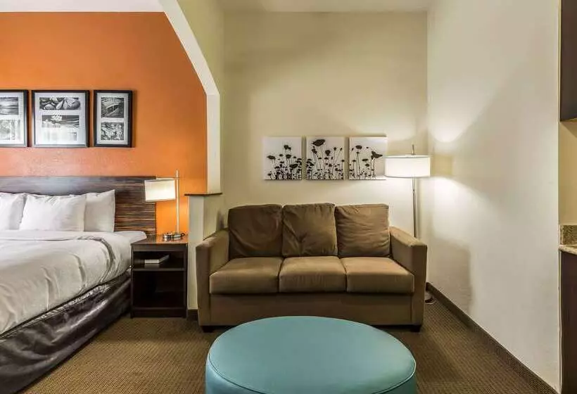 ホテル Sleep Inn & Suites Stafford Sugarland