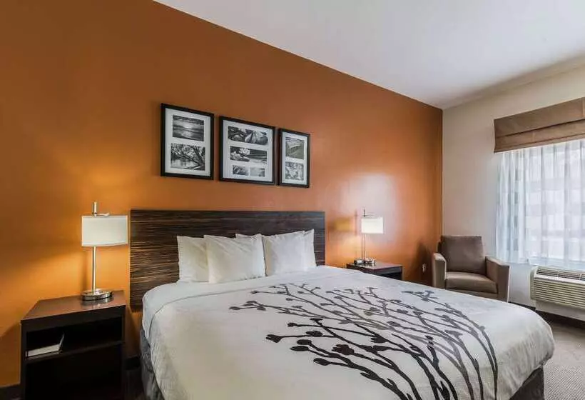 ホテル Sleep Inn & Suites Stafford Sugarland