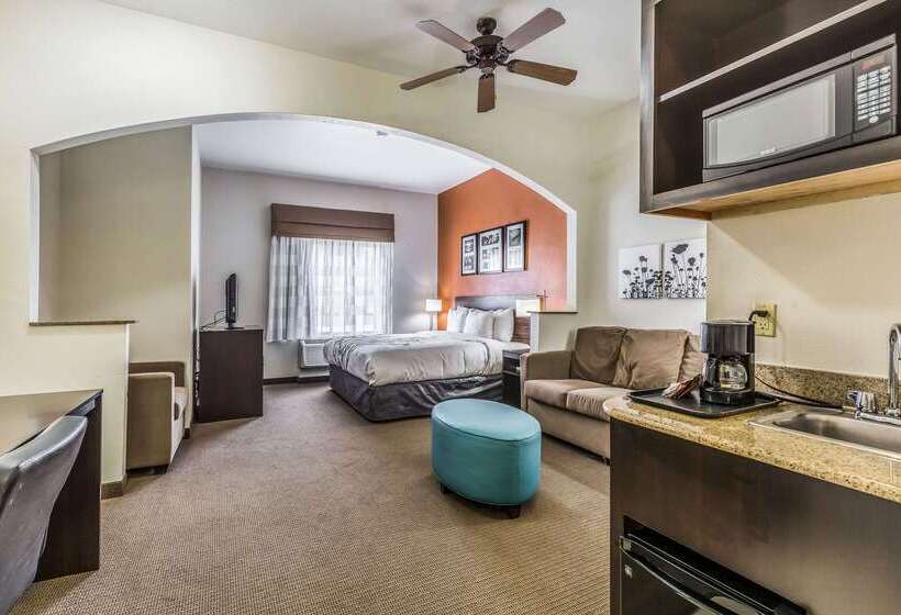 ホテル Sleep Inn & Suites Stafford Sugarland