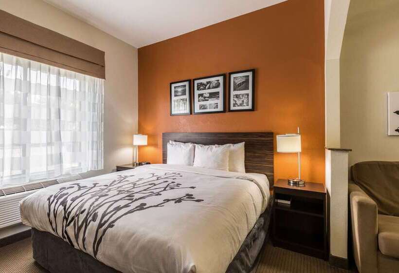 ホテル Sleep Inn & Suites Stafford Sugarland