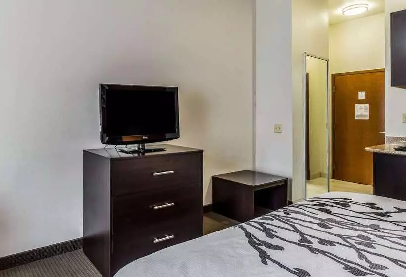 ホテル Sleep Inn & Suites Stafford Sugarland